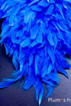 Hahnenboa chandelle - 10 cm - türkis